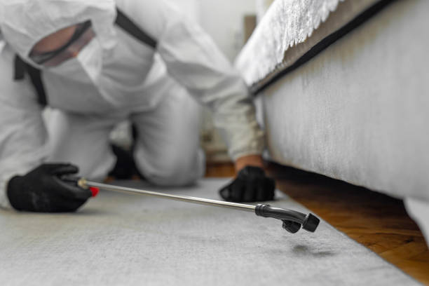 Professional Termite Control technician working in Hector, MN