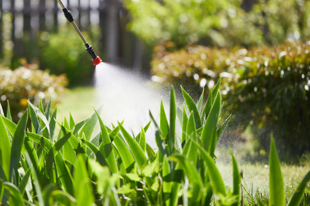 24/7 Emergency Termite Control experts in Hector, MN