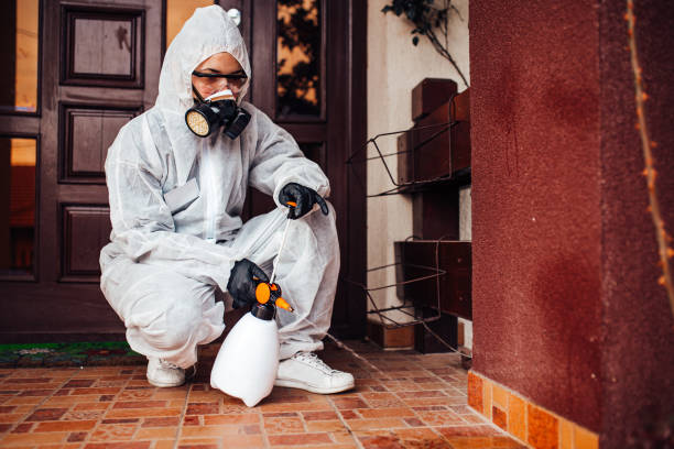 Reliable Termite Control contractor in Hector, MN by Nex Pest Control